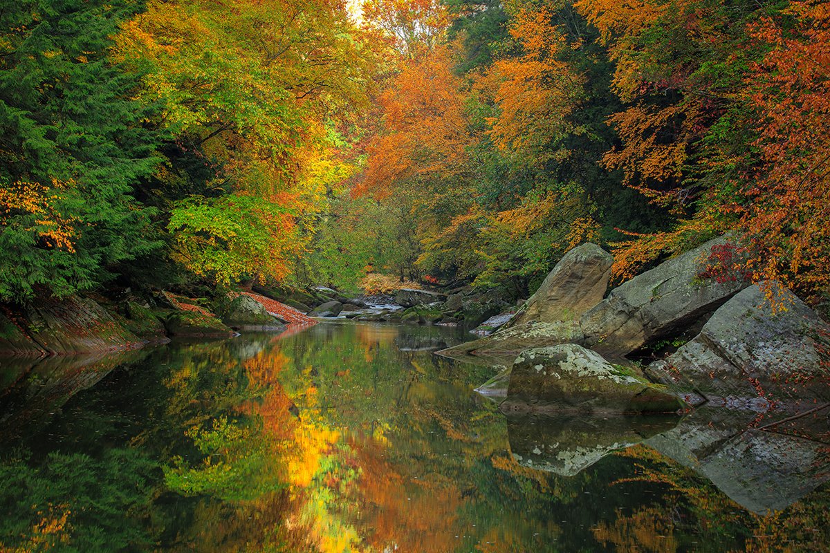 epfagallery's tweet photo. #HappyFallChallenge !! #epfagallery !! https://t.co/GfakVqkHbe
