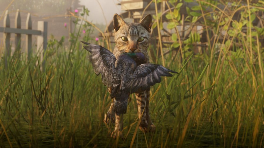 レッド デッド リデンプション2 ネコが鳩ハント 様々な野生動物を映した最新ショット Game Spark 国内 海外ゲーム情報サイト