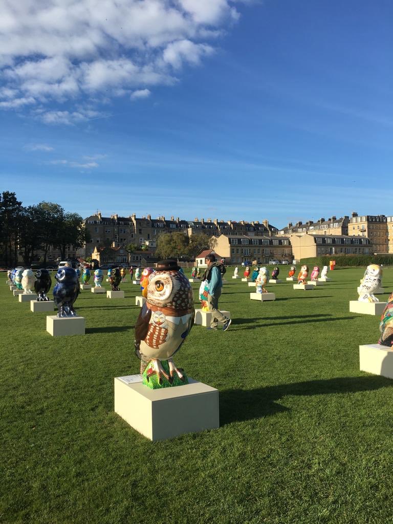 The parliament is nearly ready for you, #Bath!

See you at @bath_rec this weekend for our Hoot Farewell Weekend full of fun FREE owl activities and the chance to see all owls together for the last time! Tickets available on the door. #OwlsOfBath <a href="/WeLoveBath/">Love Bath</a>