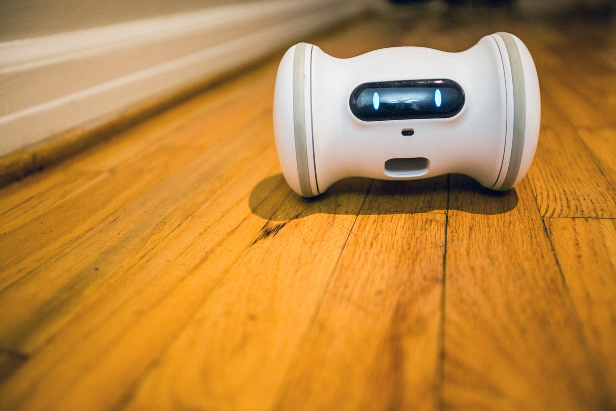 hyperstarter's tweet photo. The VARRAM Robot Keeps Your Cat or Dog in Tiptop Physical Shape https://t.co/ziVbfQ4ahf πΆ #robots #robofriends #Robotics #lovepets #dogslife https://t.co/aZAmmV0z5c