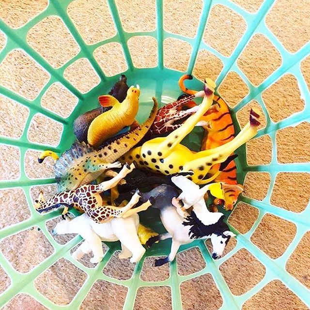MadeForMums's tweet photo. Can you remember the last time your washing basket was empty? We can’t 😂 If it’s not full of clothes, it’s full of toys... 📸: #repost #regram @my_mumlife
.
.
.
.
.
#mumlife #mum #mums #mumsofig #igmums #mom #momlife #momsofinstagram #mumsofinstagram … https://t.co/jhO67PfntK https://t.co/KdqwYegycK