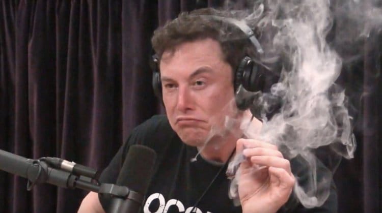 M_dansker's tweet photo. Elons reaction to the SEC, for sure..  
The face of - Let's move into crypto, fuck SEC! 😂.   

I honestly think he is a bit crazy, but all great thinkers are. 😉.  #ElonMusk #crypto #goverment #blockchain https://t.co/HEZQSN43s1