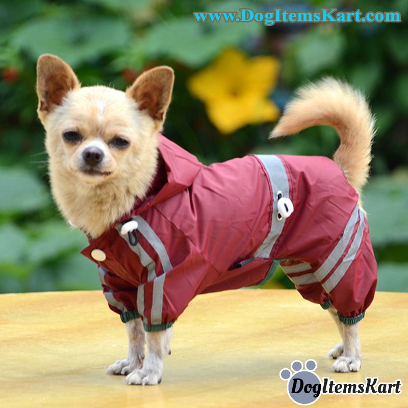 DogsRule2018's tweet photo. Buy now for your beautiful pet Dog "Dog Waterproof Rain Jacket"
.
.
#doglovers #dogloversclub #dog #NationalCoffeeDay #dogsofinstagram #dogstagram #dogs🐶 #dogum #dogaccessories #pet #FridayFeeling #DelayTheVote #AsiaCupFinal #pets #puppy #puppies #INDvBAN #dogitems https://t.co/skcXNQmRZu