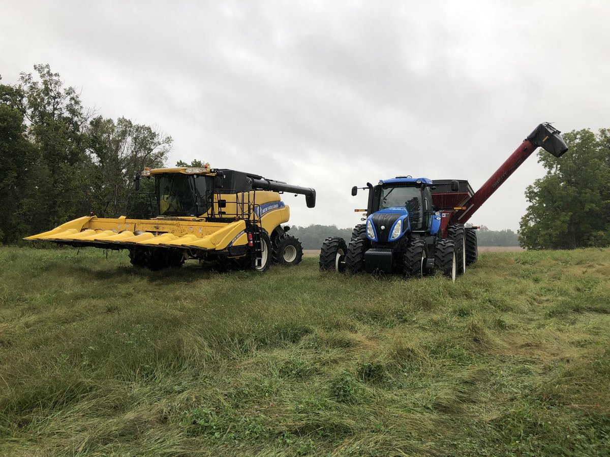 BecksHybrids tweet picture