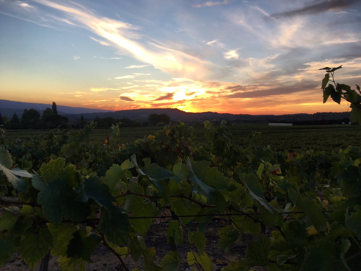 otapt's tweet photo. Direct en Pays d’Apt Luberon 💛! #sunset #coucherdesoleil #paysaptluberon #vue #vignes #sunset_lovers #sunsetlive2018 #Provence #Tourisme #vaucluse https://t.co/dZTknLi6Oo