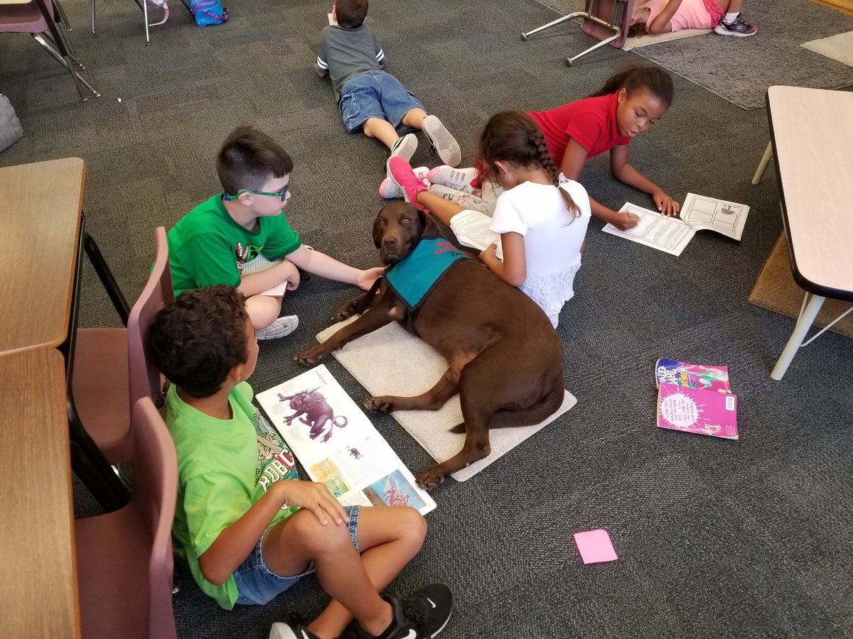Another "paw"some day of learning with his favorite students!  Reese really loves his job. <a href="/NatalieRados123/">Natalie Rados</a> <a href="/ElemBoyette/">Boyette Springs Elem</a>