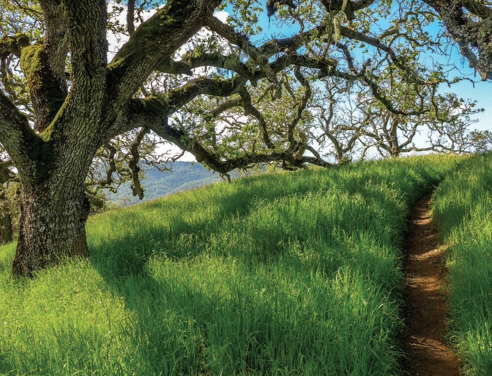 SouthValleyMag's tweet photo. Local backcountry https://t.co/zhzvkfIJqU https://t.co/9hQc9p2hfL