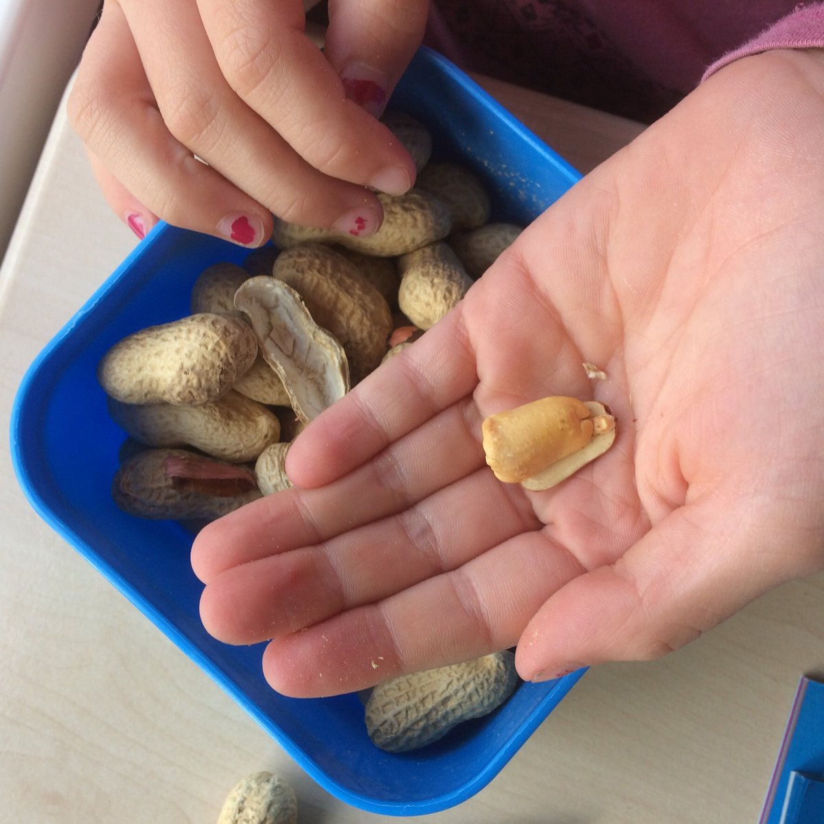 piramide_bp's tweet photo. Wij eten het beter! #iehb #ikeethetbeter #groep5 #weekvandepauzehap #mmm @piramide_bp https://t.co/4oScV2LaVF