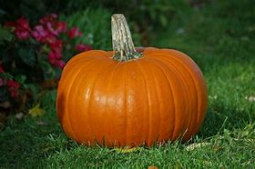 KimHotzon's tweet photo. Fall brings change! - https://t.co/hPOY8WAnuE https://t.co/Yaaw945tK7