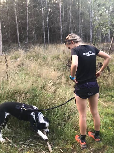 dogfituk's tweet photo. Looks like Benny is all ready to get packed and ready for the #ICF2018 World Championships in Poland next week, where he and Georgie Lambert are representing GB in #canicross. 
It all started with a taster session at #DogFit too! We're so excited for them! https://t.co/yGfxUVXxjH