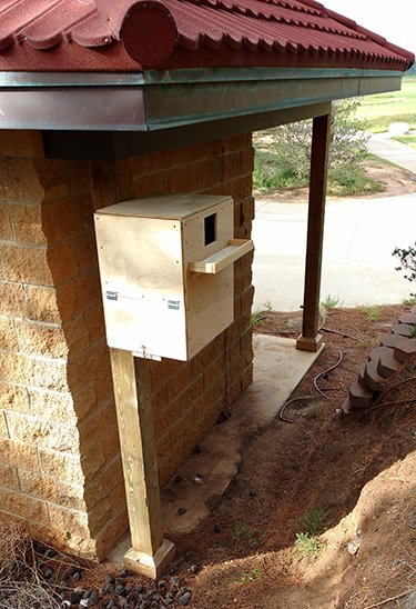 drkgkttu's tweet photo. Dr. Griffis-Kyle, Undergrad Jake Doskocil, and The #RawlsCourse at TTU expand opportunities for avian predators on the course by installing owl and kestrel nest boxes. @therawlscourse @Troon https://t.co/eyiSyerZ8k