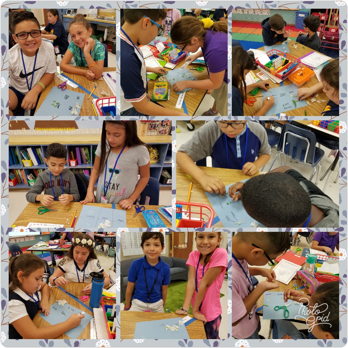 MrsMookEES's tweet photo. Today our #BuddingBotanists dissected flowers to identify the reproductive parts of a flowering plant! Thanks for the flowers @MrsParsons18 We're looking forward to our field trip in November! @NaplesBotanical @EESpanthers @EES_4th_Graders #FindYourFIRE #movemountains https://t.co/zdLZiy12So