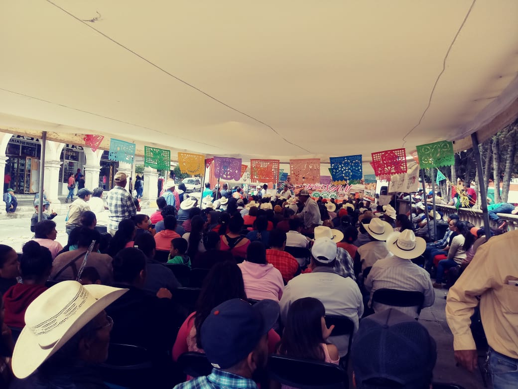 Secampo_Zac's tweet photo. Más de 400 pequeños productores de Fresnillo participan en la 1ra Feria de Seguridad Alimentaria y Nutricional del #PESA2018 y con orgullo presentan sus productos.
#TrabajemosUnidos
Conoce más en: https://t.co/KElWmO4Uth https://t.co/YQVQ5x6MHE