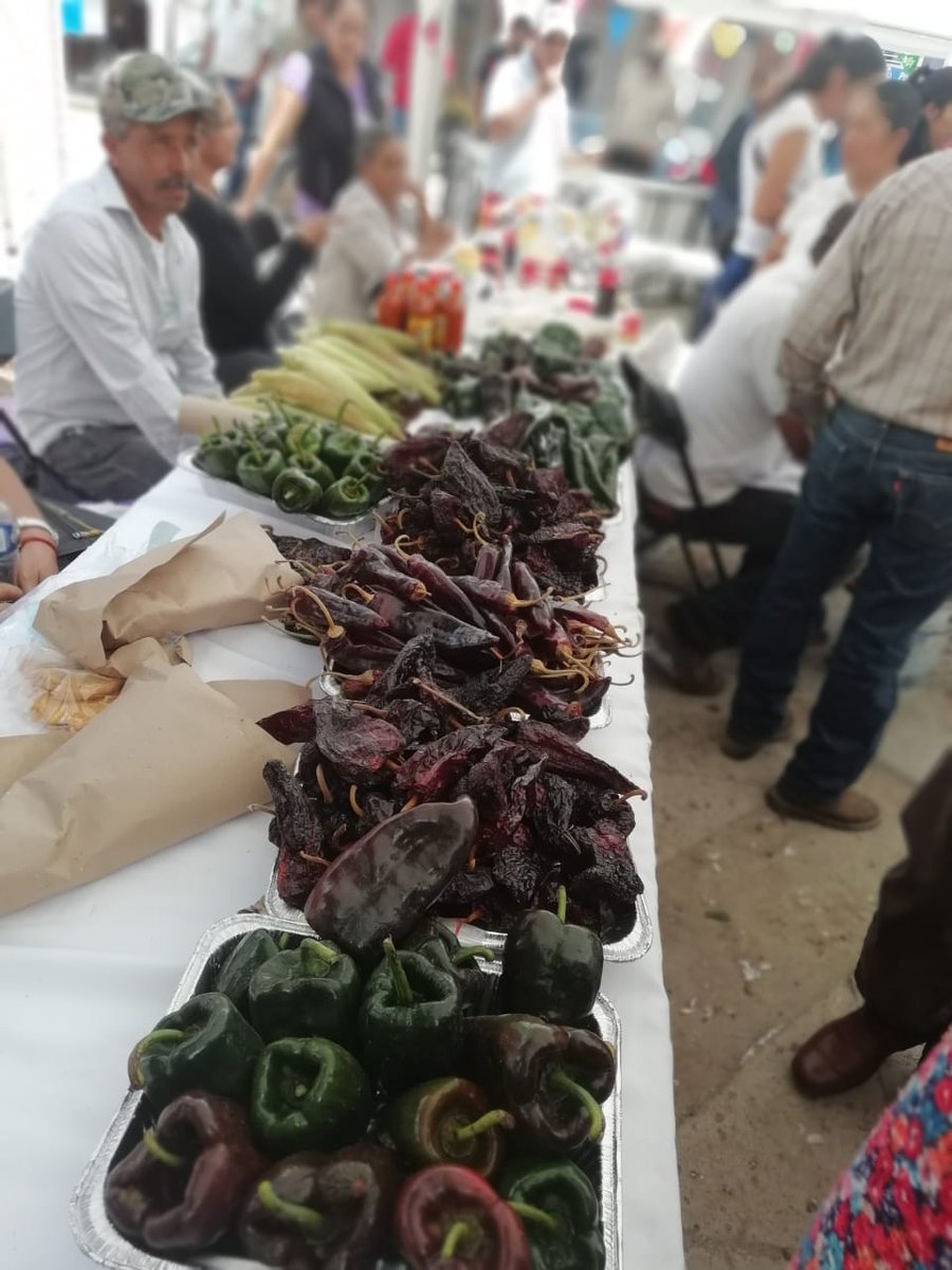 Secampo_Zac's tweet photo. Más de 400 pequeños productores de Fresnillo participan en la 1ra Feria de Seguridad Alimentaria y Nutricional del #PESA2018 y con orgullo presentan sus productos.
#TrabajemosUnidos
Conoce más en: https://t.co/KElWmO4Uth https://t.co/YQVQ5x6MHE