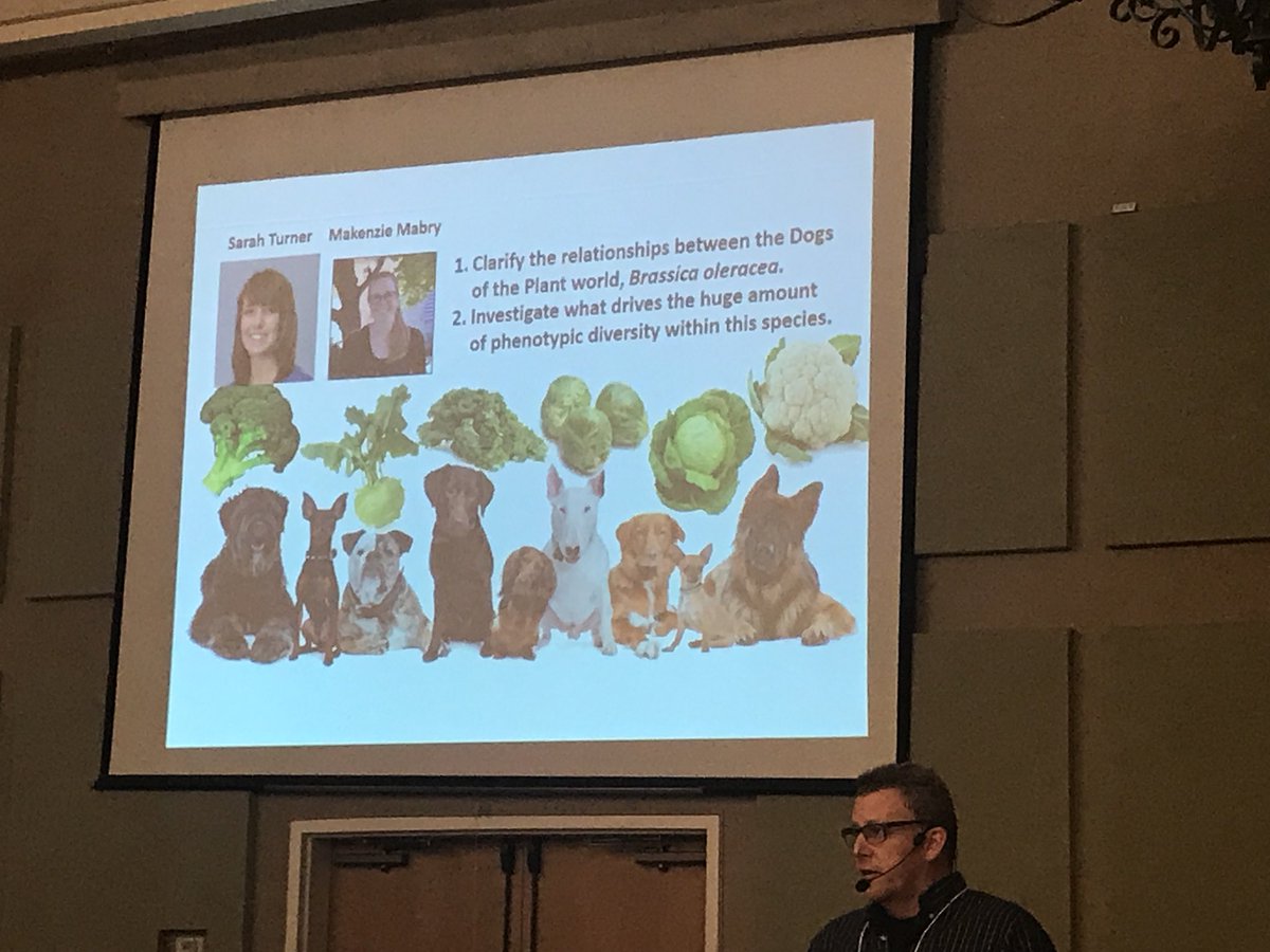 fakespoons's tweet photo. Great talk from @JChrisPires about the role polyploidization in domestication of brassica crops, aka “the dogs of the plant world.” #UGAPlants18 #UGA #UGAPBIO #UGAGenetics https://t.co/8InQjFWDnn