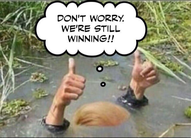 theoldme2025's tweet image. #WINNING
#KavaNO #KavanaughIsGuilty