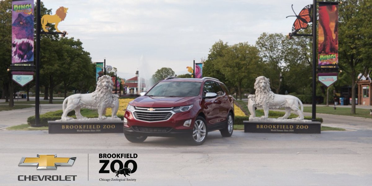 Lions, tigers and #ChevyEquinox , oh my! Stop by the #Chevy display at #BrookfieldZoo September 29-30 to check out our favorite exhibits. pbxx.it/OMIip7