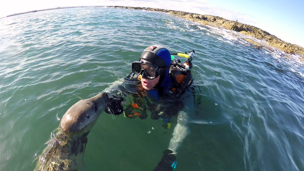 Ben Burville tweet media