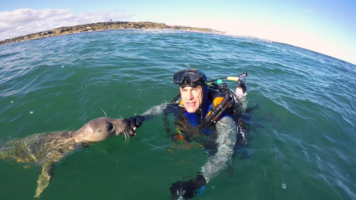 Ben Burville tweet media