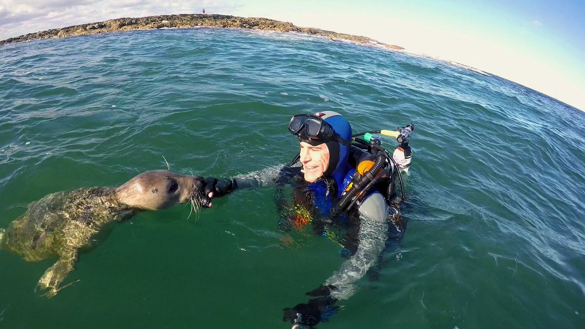 Ben Burville tweet media