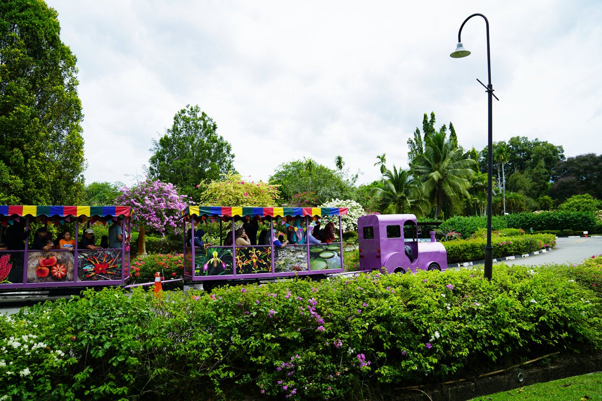 Little Mama Stories Taman Pertanian Sabah Lagud Seberang Tenom