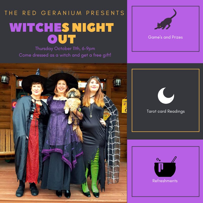geraniumonline's tweet photo. Come my pretties, join us as we ride our broomsticks in glee. I'll make my witches brew and soon you'll see there is fun to be had the 11th of October at Witches Night Out in the Red Geranium. #Witches #NightOut #RedGeranium https://t.co/ILPYCvcvyI