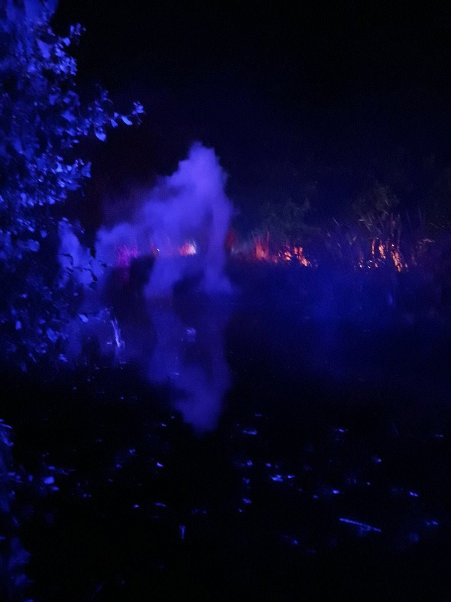 blonde_on_bikes's tweet image. Vogrie Fire and light Adventure #fire #light #woods #vogrie