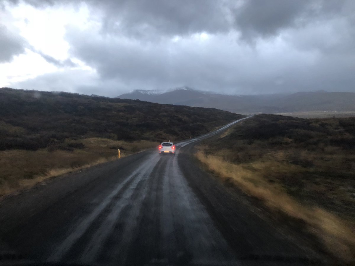 Angry Picnic Official tweet media