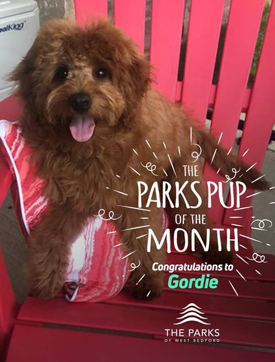westbedford's tweet photo. https://t.co/Ij7mu9NtVr