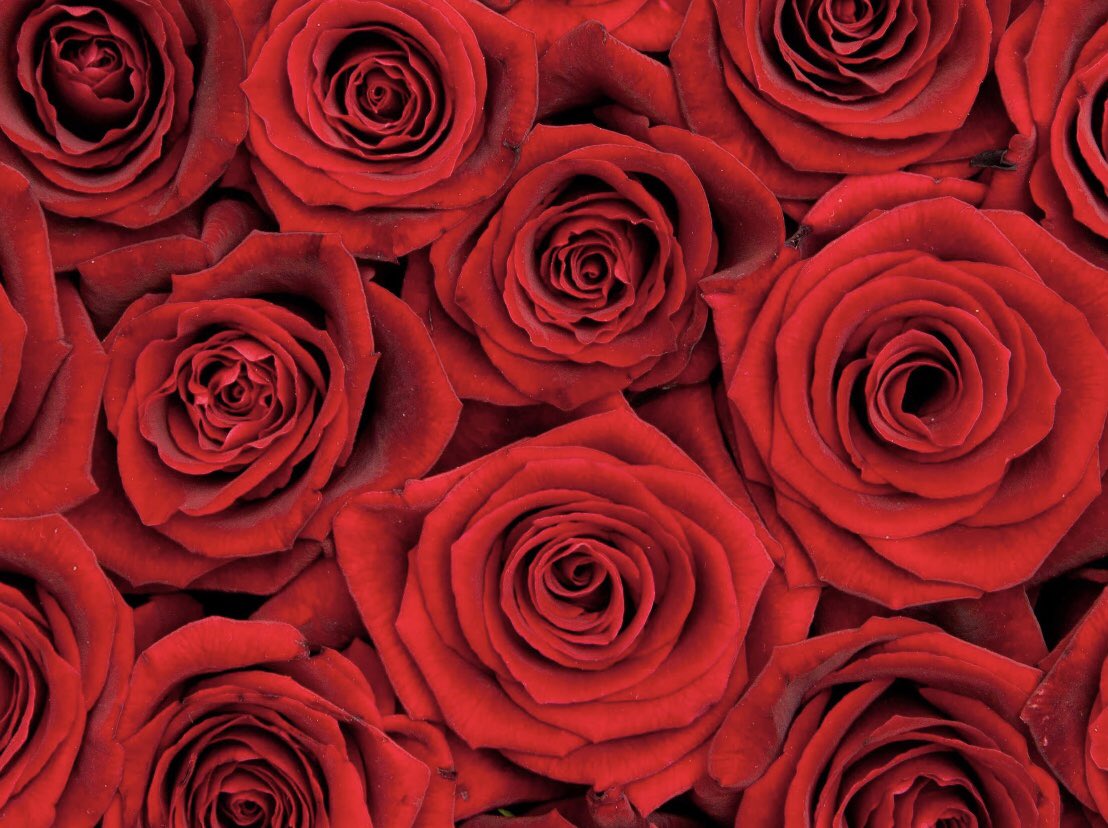 tdorff73's tweet photo. @NichelleLuvsXXX these are for you beautiful, hope you like! https://t.co/rvYJjYlTgj