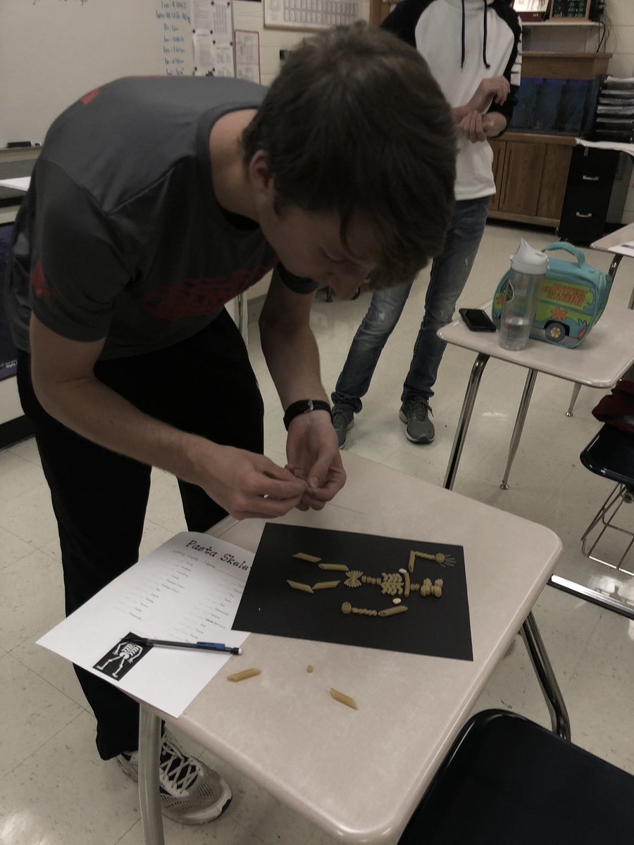 pamclemensen's tweet photo. A&P students create Pasta Skeletons to wrap up the Skeleton system. @LiberalBulldogs #hansonlearning https://t.co/5WSHh0BZ2V