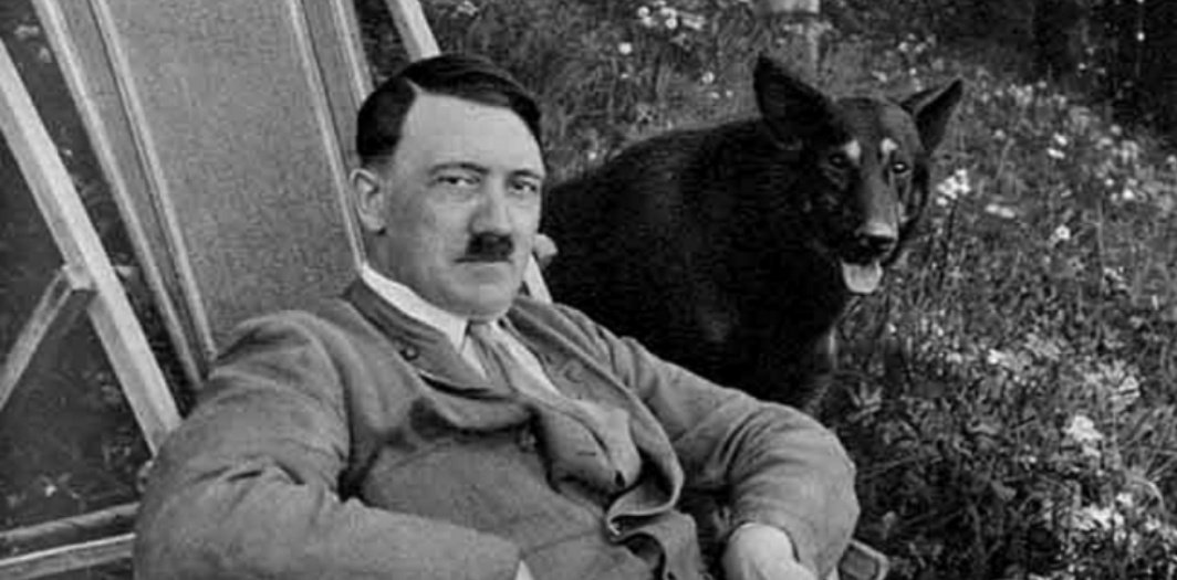 Aladjango's tweet photo. Le Prophète, aleyhi salat wa salam, a dit :

 ''Tuez seulement le chien noir aux deux tâches blanches au dessus de ses yeux car c'est un démon ''. 

Muslim https://t.co/1QjWQAYrM7