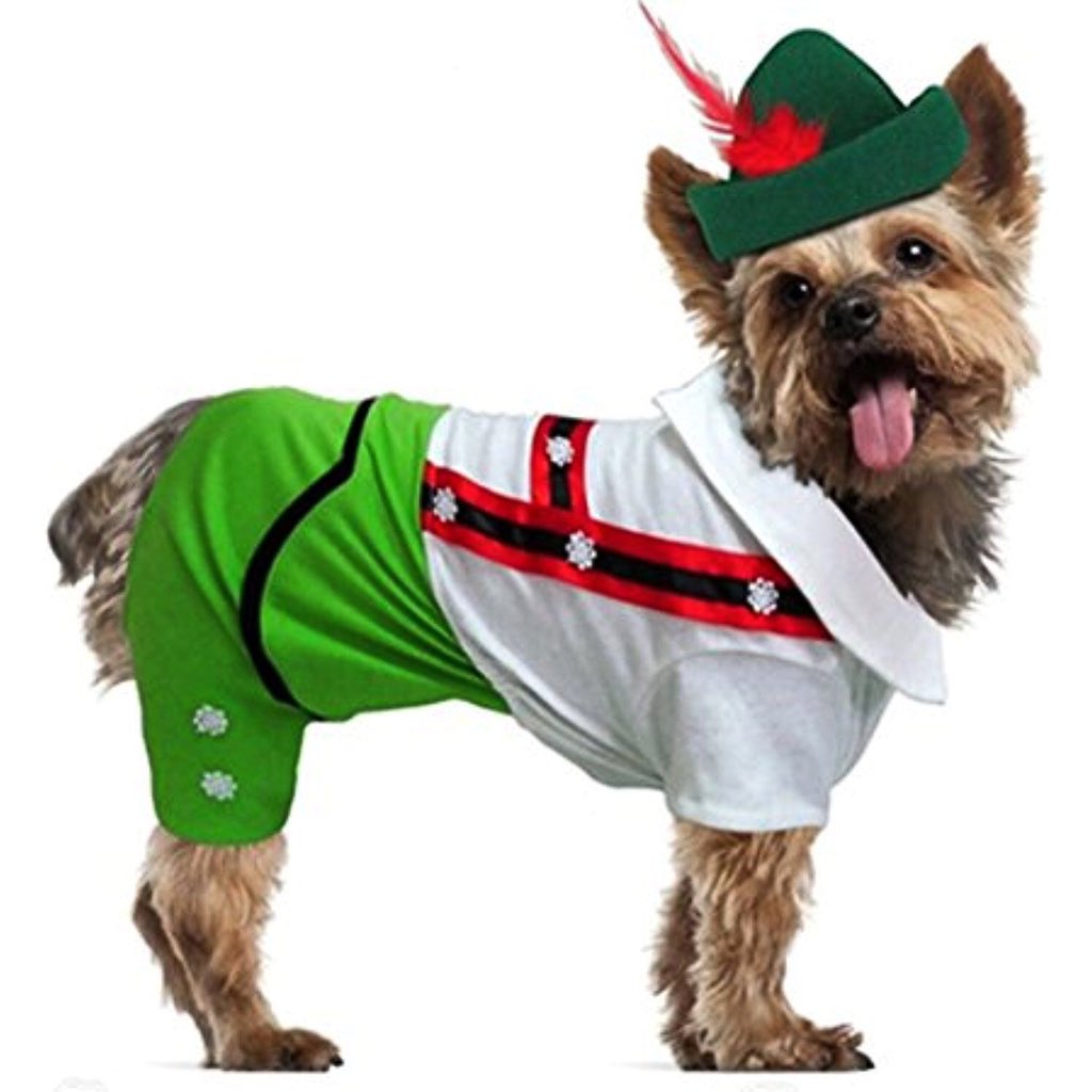 Bier in ur bowl, nxt Friday! #oktoberfest #chorizodog #dontcallmydogchorizo