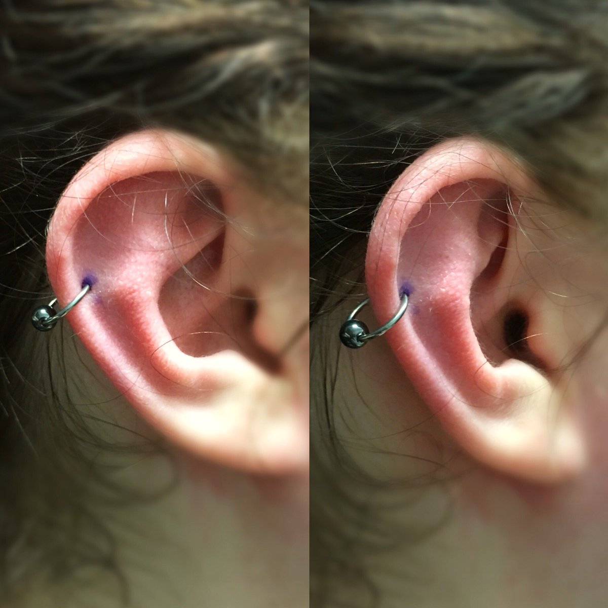 AStepOutThere's tweet photo. #helix #piercing from yesterday done using an implant grade #titanium captive bead #microring! β¨ Check out the #jewellery that I currently have available to purchase for your healed #piercings: https://t.co/5kVZaODcz8 (direct link is also in my bio! β¨) https://t.co/9sVGoXUX3L