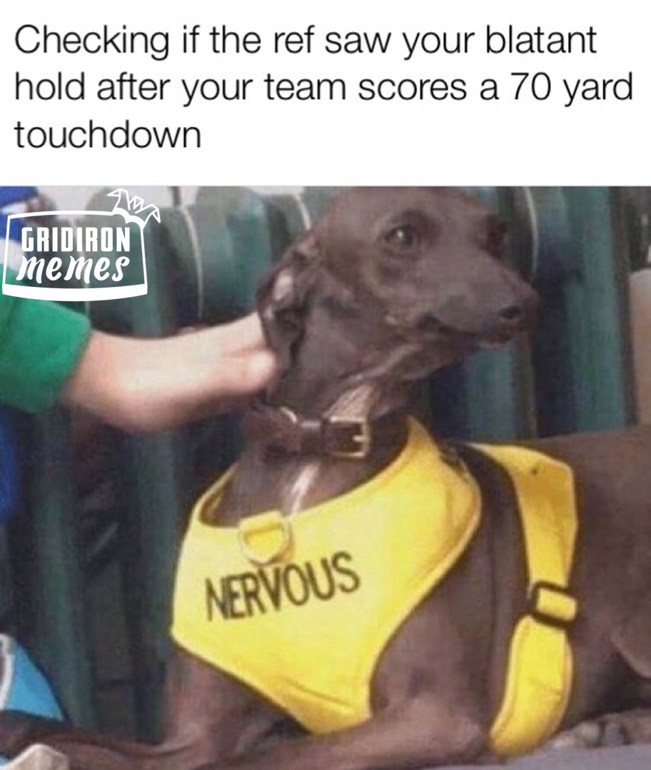 sportank's tweet photo. User Submitted Meme - The wait #CalledBack #Dog #Holding #Nervous #Penalty #Referee #Touchdown #bafanl #britball #gfl #cfl #ifaf #nfl #nfluk #nflmemes #meme #lol #americanfootball #americanfootballmemes https://t.co/GOOok4Zsan https://t.co/slfqYvyK4E