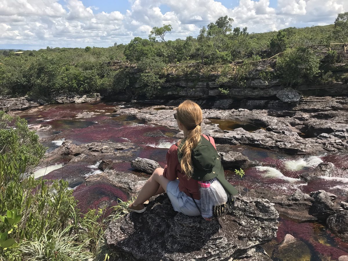 Sandra_R7's tweet photo. En el río más lindo del mundo! 🤩 #CañoCristales #Colombia https://t.co/FPgTvalSSu