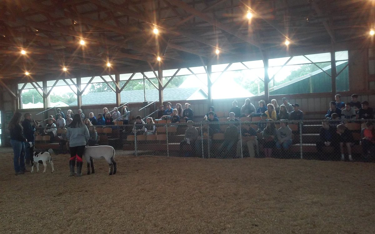 HollyOberholtz2's tweet photo. Check out these #LSPioneers and @GardenSpotFFA learning about #SAE projects and livestock evaluation at the #LampeterFair18 #LSAgSci https://t.co/1aplCSYrnd