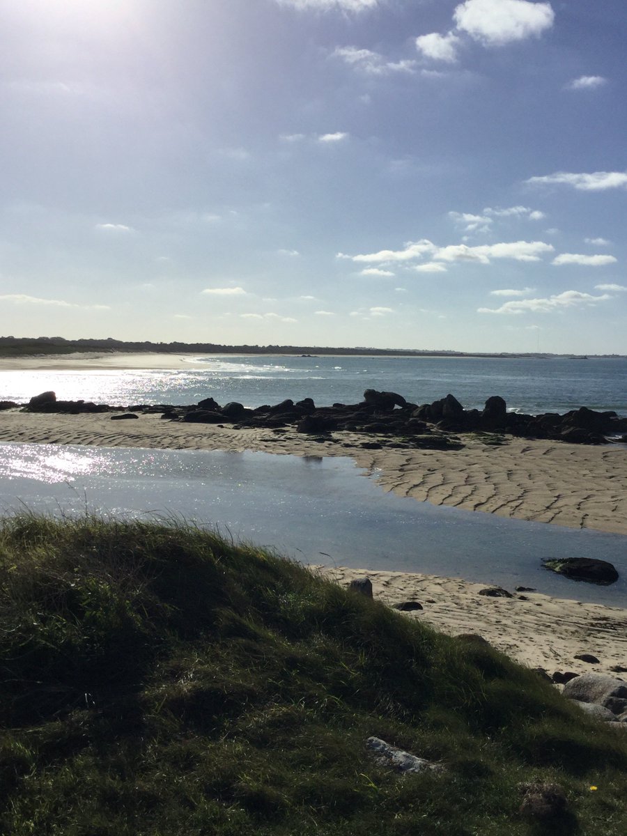 JF Legros ن  #SPF 💎 🇪🇺 tweet media