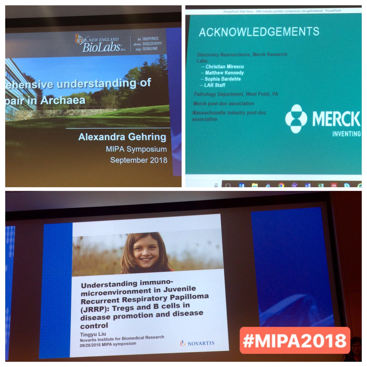 massindustrypds's tweet photo. Great talks by #industry #Postdocs at our #MIPA2018 research symposium, hosted @AstraZeneca! From enzymology, to #Neuroscience & #Oncology. @NEBiolabs @Merck @NovartisScience https://t.co/AmZ9eFqysg