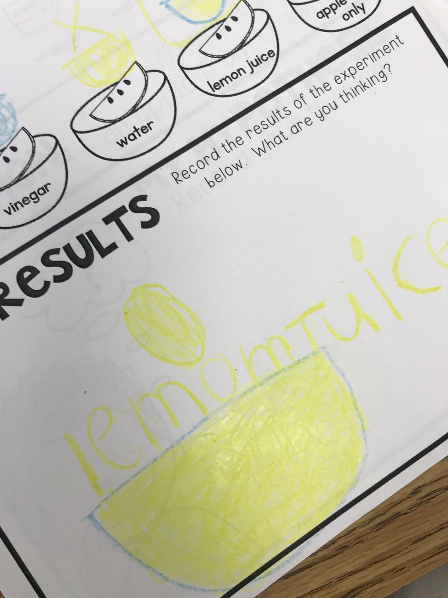waglerLES_1st's tweet image. Apple science today - oxidation! What would keep the flesh of the apple from turning brown? Vinegar, milk, lemon juice, or water? We made a hypothesis and then conducted our experiment. The results were...LEMON JUICE 🍋🍋🍋 #LionPride #applescience #STEM #firstgrade #funfriday