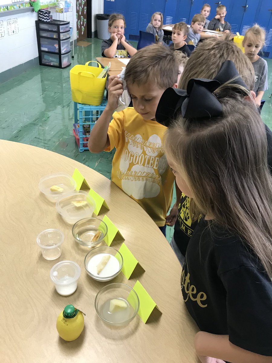 waglerLES_1st's tweet image. Apple science today - oxidation! What would keep the flesh of the apple from turning brown? Vinegar, milk, lemon juice, or water? We made a hypothesis and then conducted our experiment. The results were...LEMON JUICE 🍋🍋🍋 #LionPride #applescience #STEM #firstgrade #funfriday