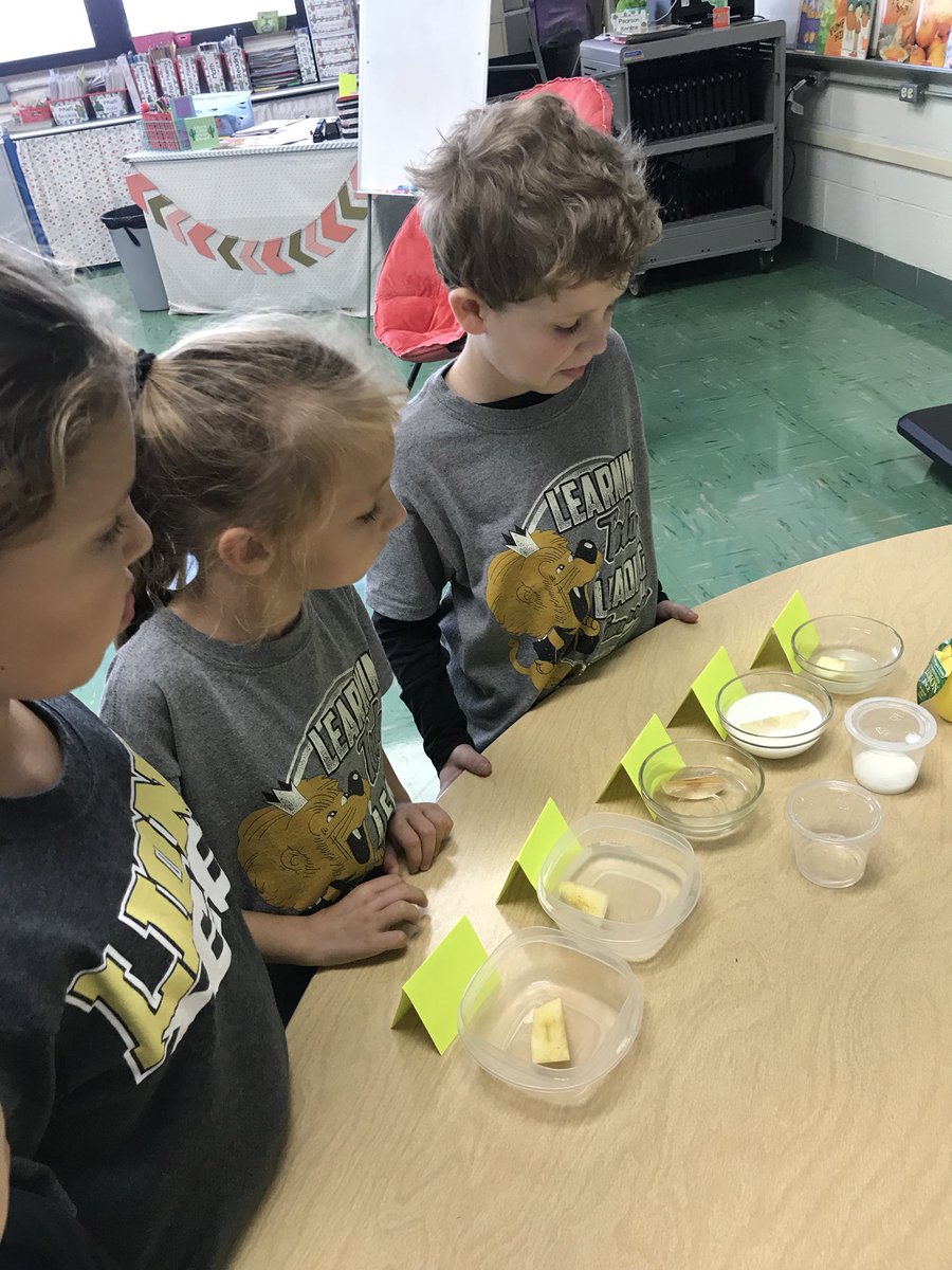 waglerLES_1st's tweet image. Apple science today - oxidation! What would keep the flesh of the apple from turning brown? Vinegar, milk, lemon juice, or water? We made a hypothesis and then conducted our experiment. The results were...LEMON JUICE 🍋🍋🍋 #LionPride #applescience #STEM #firstgrade #funfriday