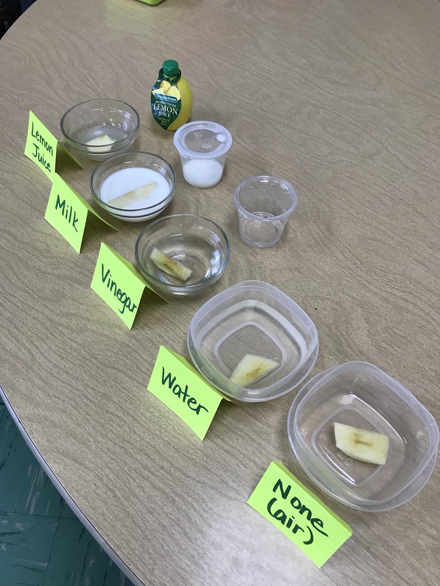 waglerLES_1st's tweet image. Apple science today - oxidation! What would keep the flesh of the apple from turning brown? Vinegar, milk, lemon juice, or water? We made a hypothesis and then conducted our experiment. The results were...LEMON JUICE 🍋🍋🍋 #LionPride #applescience #STEM #firstgrade #funfriday