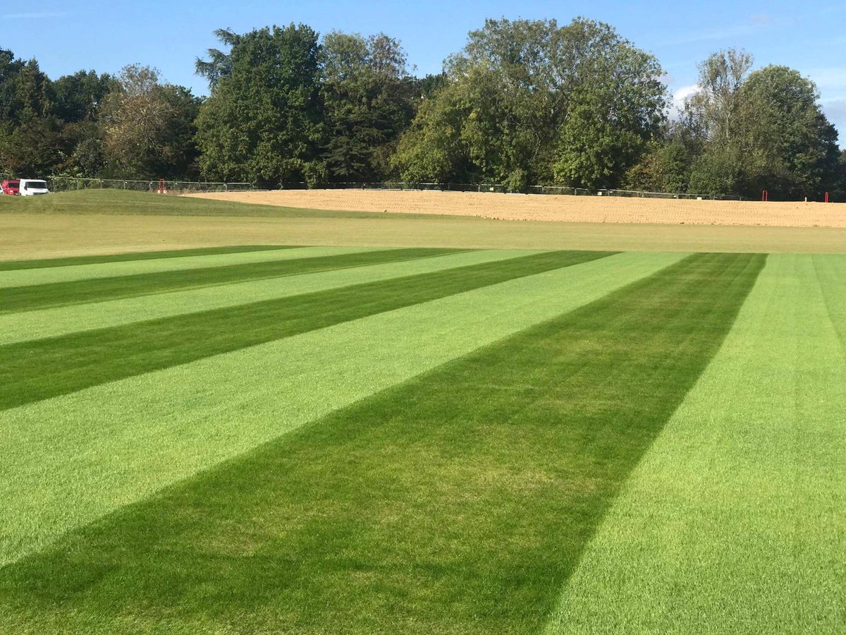 The Dimpled Egg tweet media