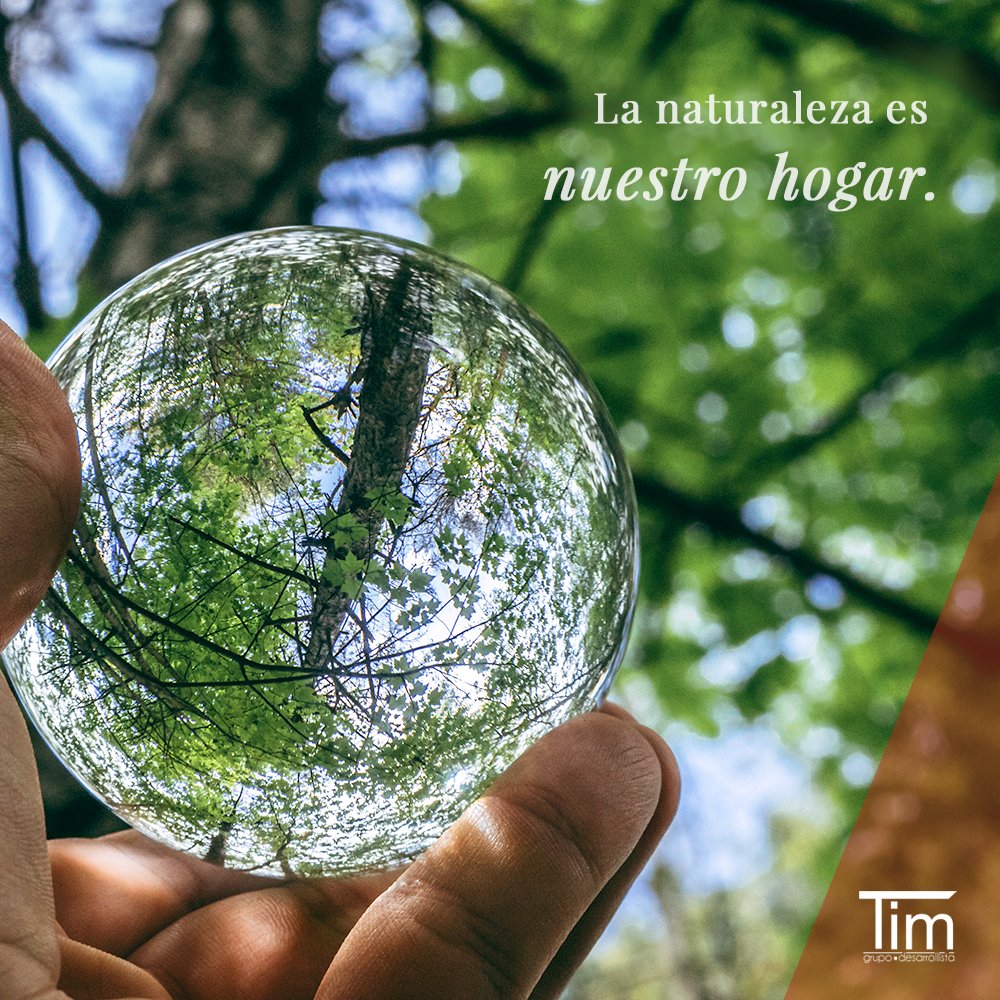 GrupoTimArq's tweet photo. SEMANA MUNDIAL DE LA CONSTRUCCIÓN SUSTENTABLE ♻🌎🌱
Desarrollamos nuestros proyectos minimizando el impacto en el medio ambiente mediante procesos que no afecten o perjudiquen las necesidades de poblaciones futuras.
#grupotim #desarrollosinmobiliarios #mainpark #canning https://t.co/RfaaYO9jvU