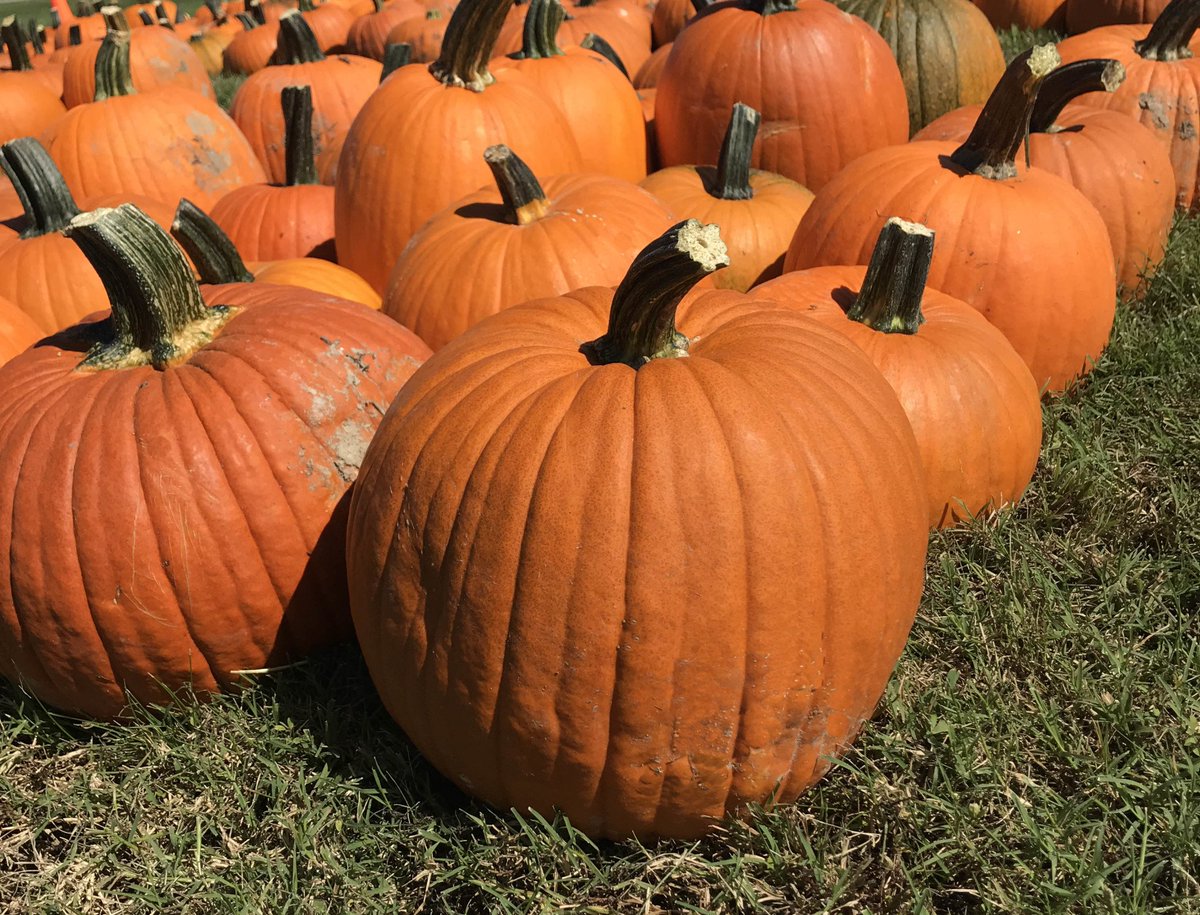 ERA First Advantage tweet media