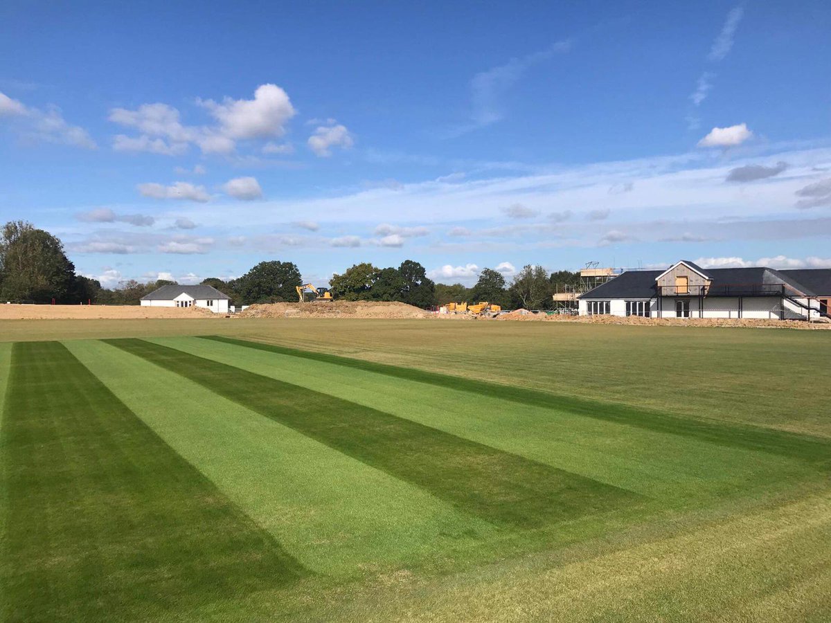 The Dimpled Egg tweet media