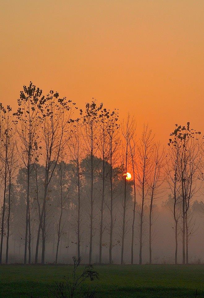 GorselSl's tweet image. I love the three languages of the Universe:
Music, Love and Silence.
Qasim Chauhan