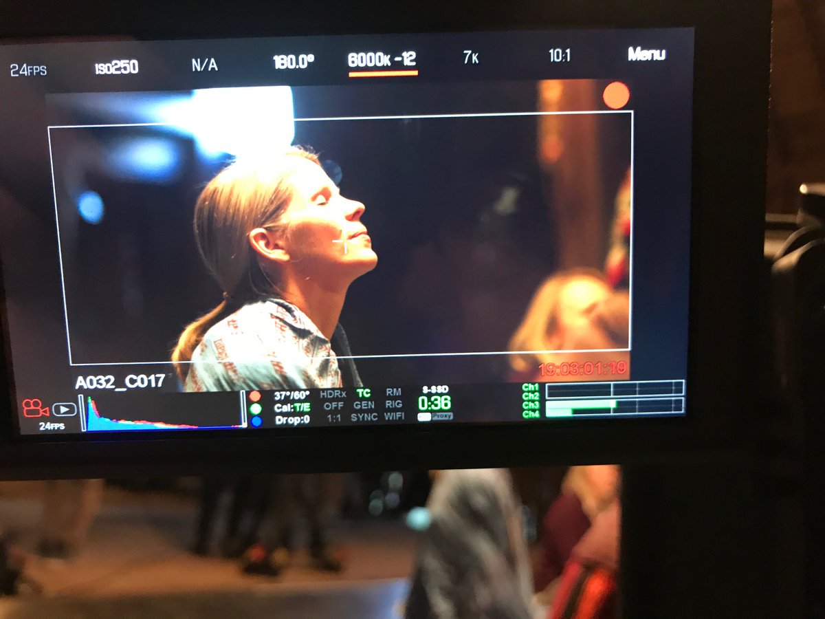 The Accidental Wolf tweet media