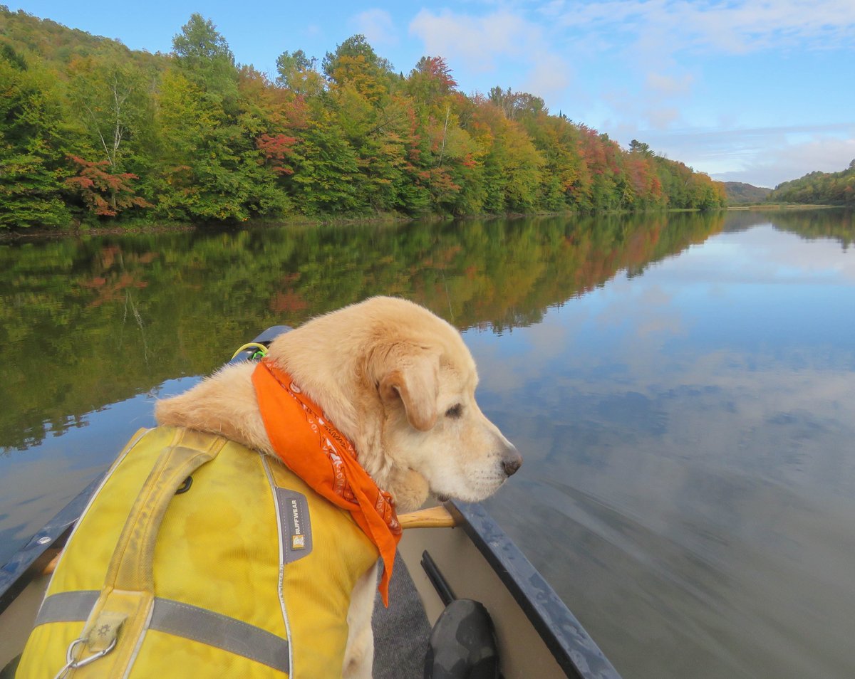 VTPaddlePups's tweet photo. @nekwx @SeanMParker @TimNBCBoston @MichaelPageWx @ericfisher @THISISVT @VTsNEK @MattNBCBoston @WCAX_Dan @NWSBurlington @JimCantore @HaleyBouleyWX Yes, changes are being seen every day while we paddle. This was today in Hardwick. #FindYourPeakVT https://t.co/ASSGUj0XsF